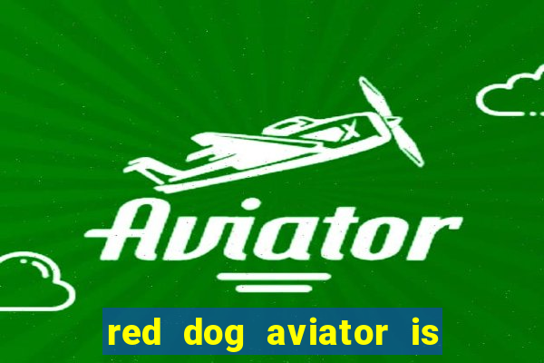 red dog aviator is real or fake