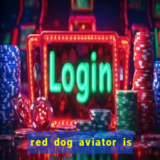 red dog aviator is real or fake