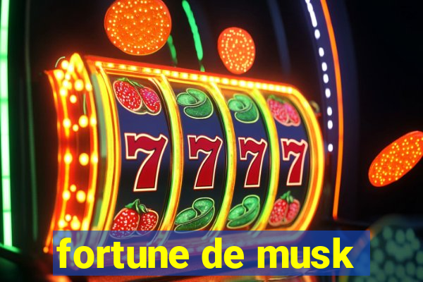 fortune de musk