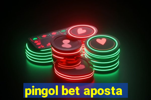 pingol bet aposta