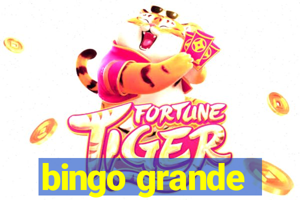 bingo grande