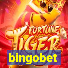 bingobet