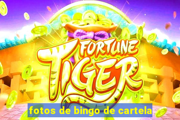 fotos de bingo de cartela