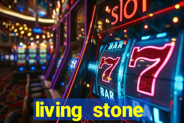 living stone network tv