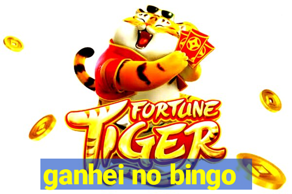 ganhei no bingo