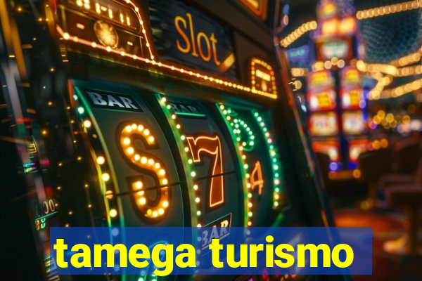 tamega turismo