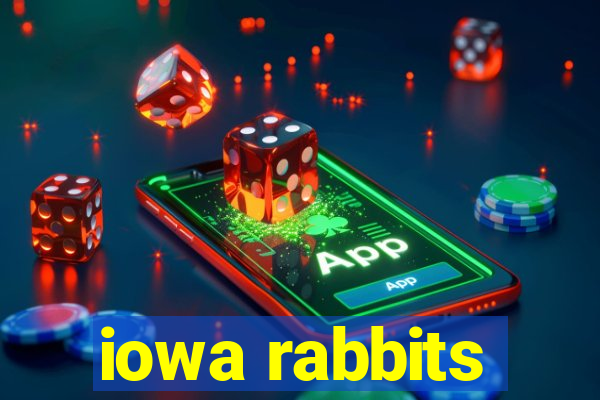 iowa rabbits