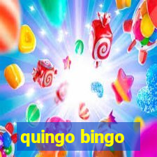 quingo bingo