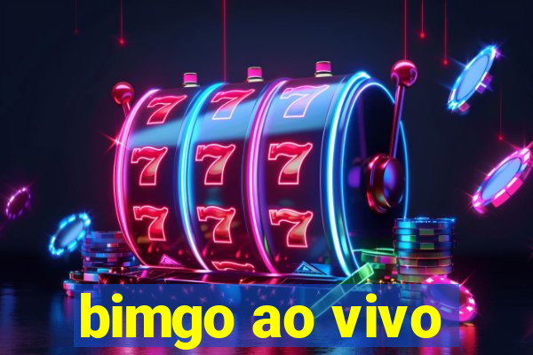 bimgo ao vivo