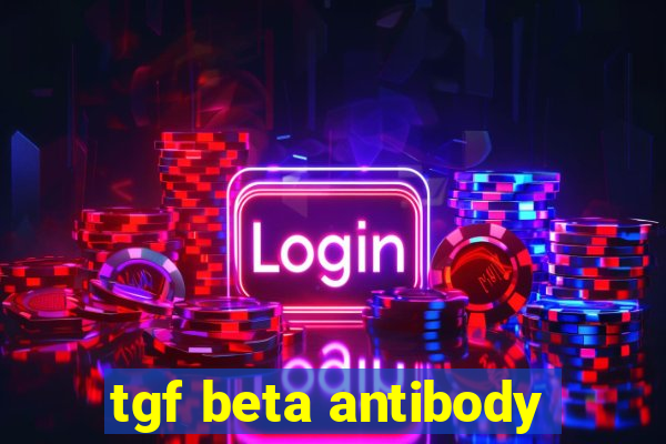 tgf beta antibody