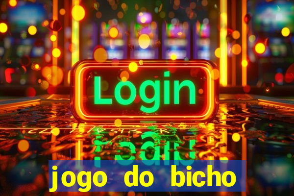 jogo do bicho crash mines