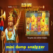 mini dump analyzer