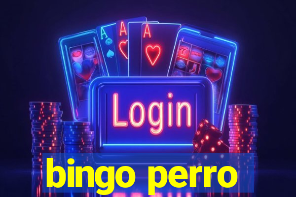 bingo perro