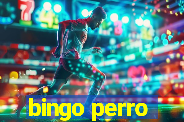 bingo perro