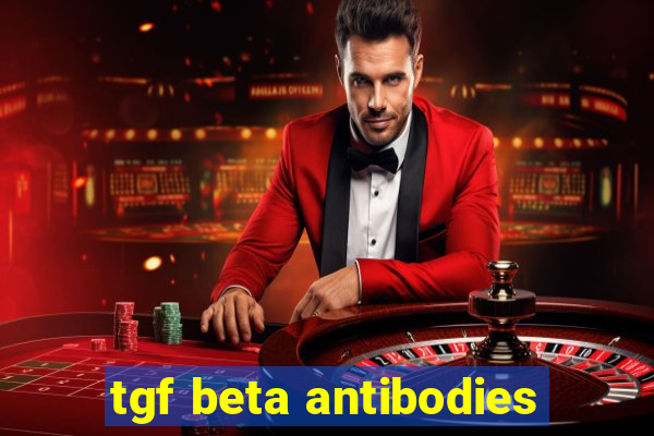 tgf beta antibodies