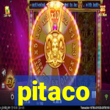 pitaco