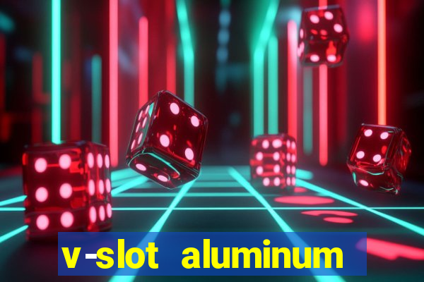 v-slot aluminum profile extrusion