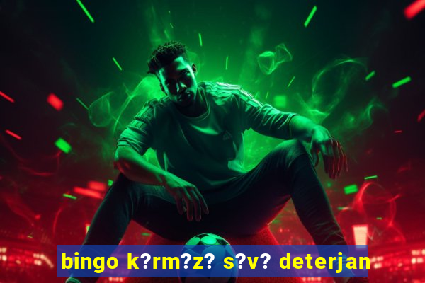 bingo k?rm?z? s?v? deterjan