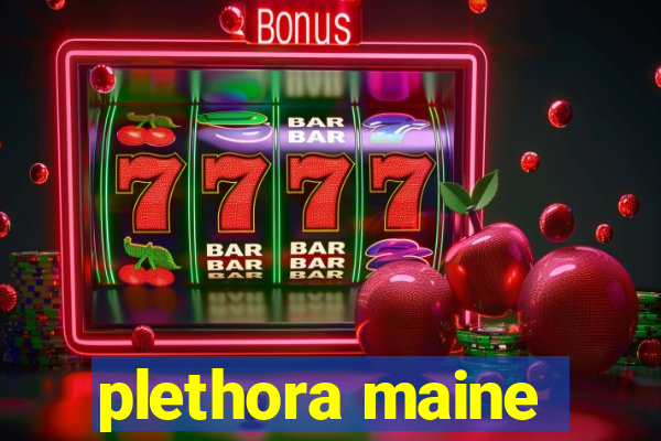 plethora maine