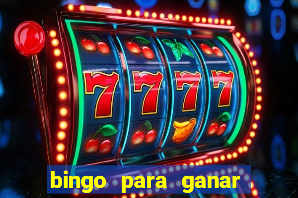 bingo para ganar dinero en paypal