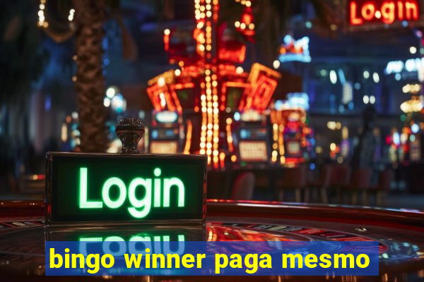 bingo winner paga mesmo