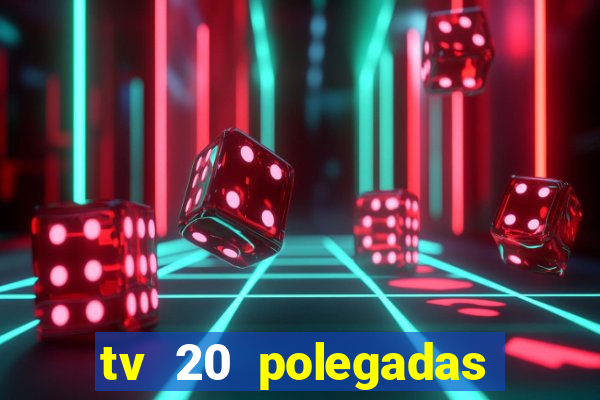 tv 20 polegadas casas bahia