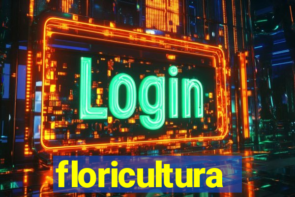 floricultura cruzeiro novo