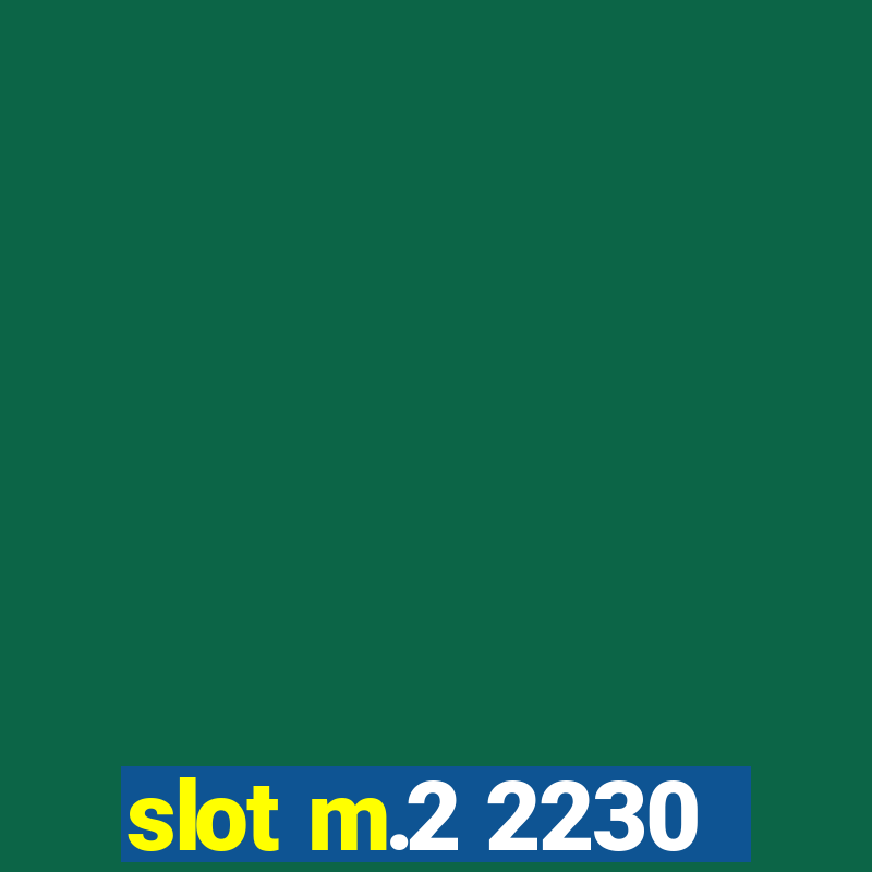 slot m.2 2230