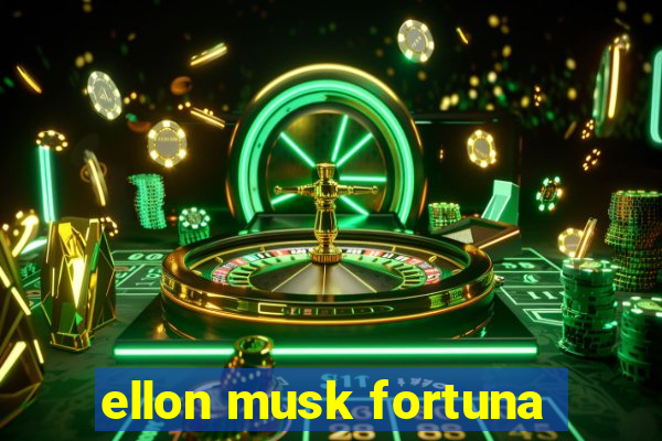 ellon musk fortuna