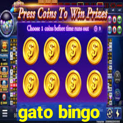 gato bingo