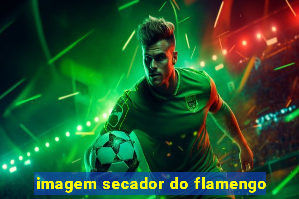 imagem secador do flamengo