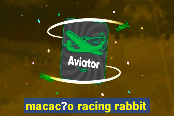 macac?o racing rabbit