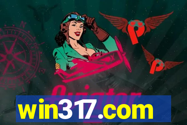 win317.com