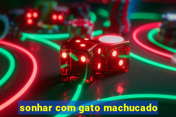 sonhar com gato machucado