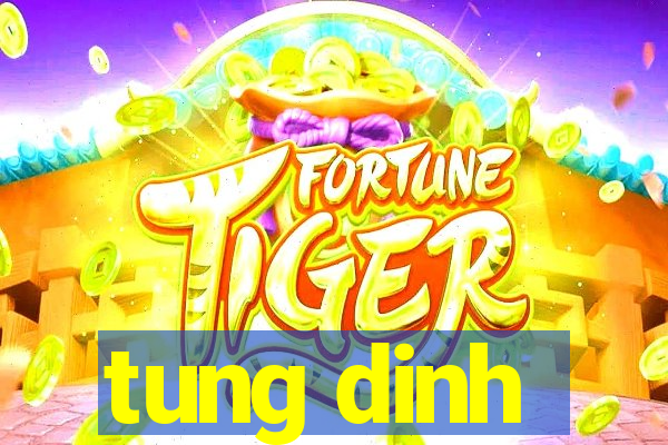 tung dinh