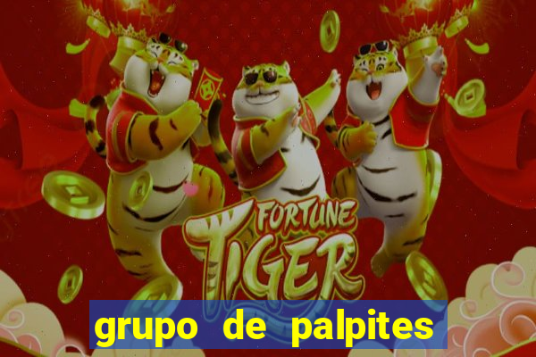 grupo de palpites de futebol whatsapp