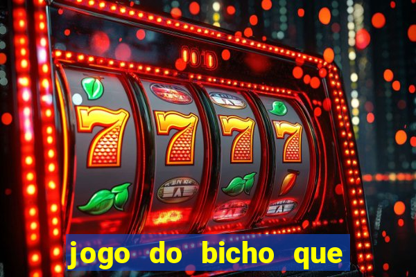 jogo do bicho que paga no pix