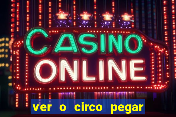 ver o circo pegar fogo significado