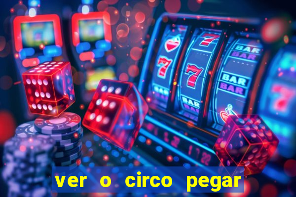 ver o circo pegar fogo significado