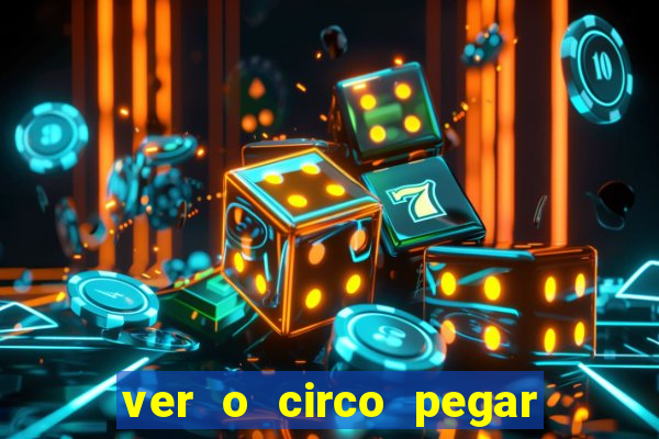 ver o circo pegar fogo significado