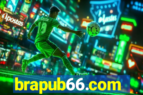 brapub66.com