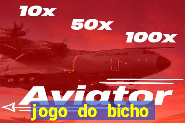 jogo do bicho feira de santana