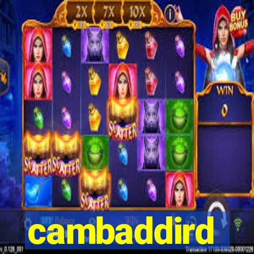 cambaddird