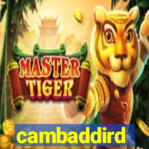 cambaddird