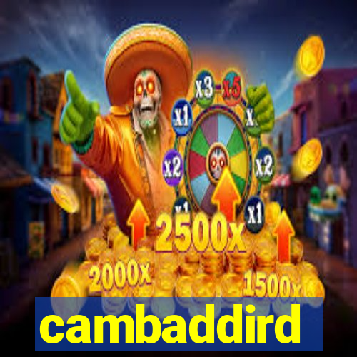 cambaddird