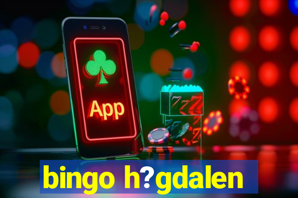 bingo h?gdalen