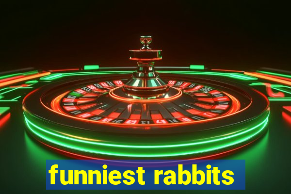 funniest rabbits