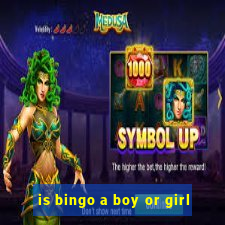 is bingo a boy or girl