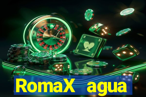 RomaX agua sanitaria fispq agua sanitaria romax