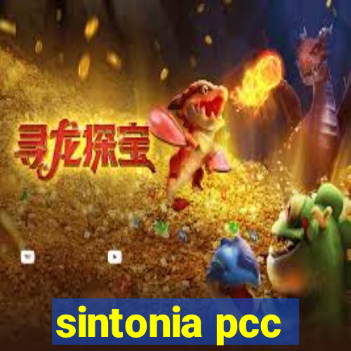 sintonia pcc